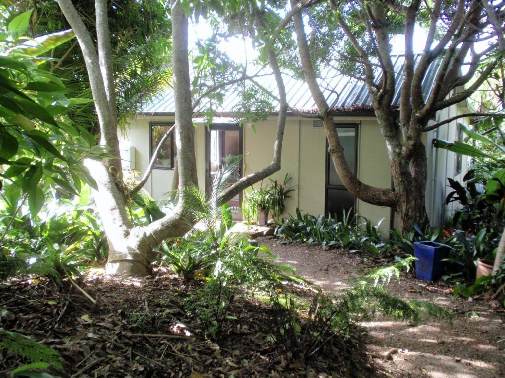 Wharepuke Subtropical Accommodation Kerikeri Oda fotoğraf