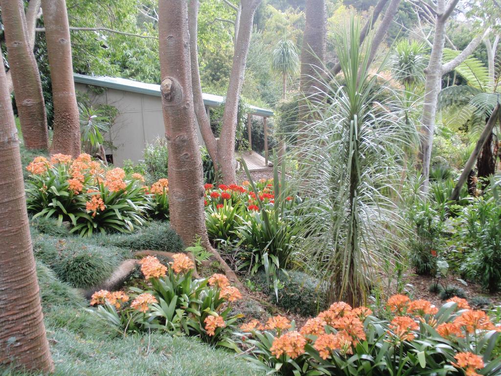 Wharepuke Subtropical Accommodation Kerikeri Dış mekan fotoğraf