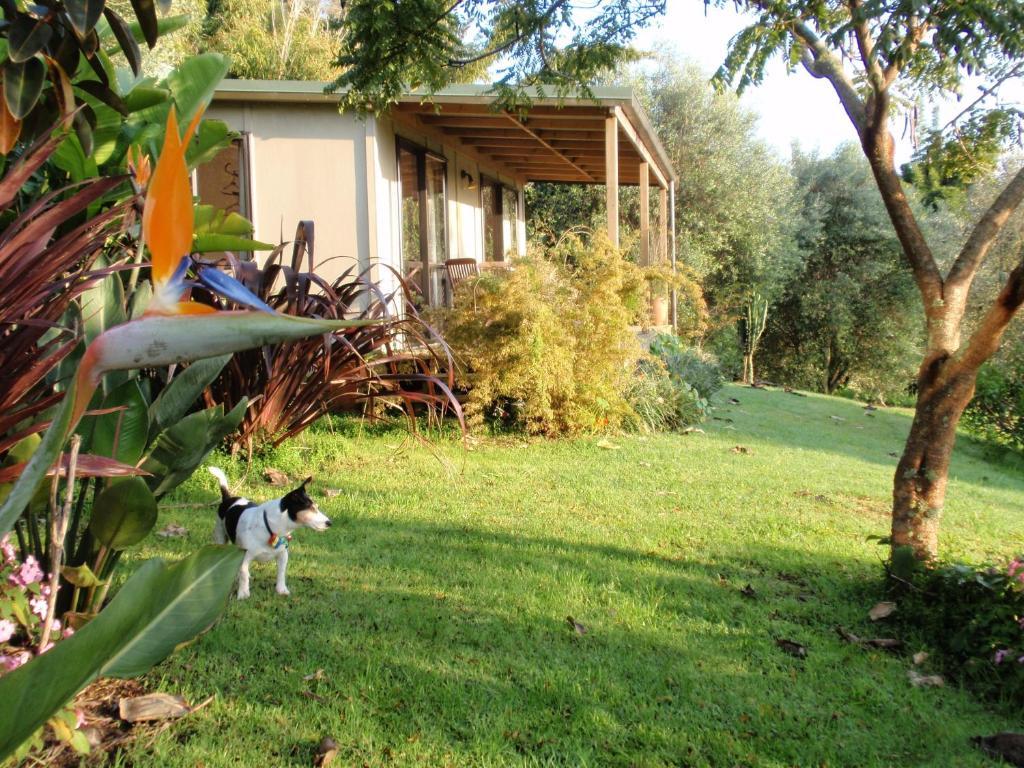 Wharepuke Subtropical Accommodation Kerikeri Oda fotoğraf