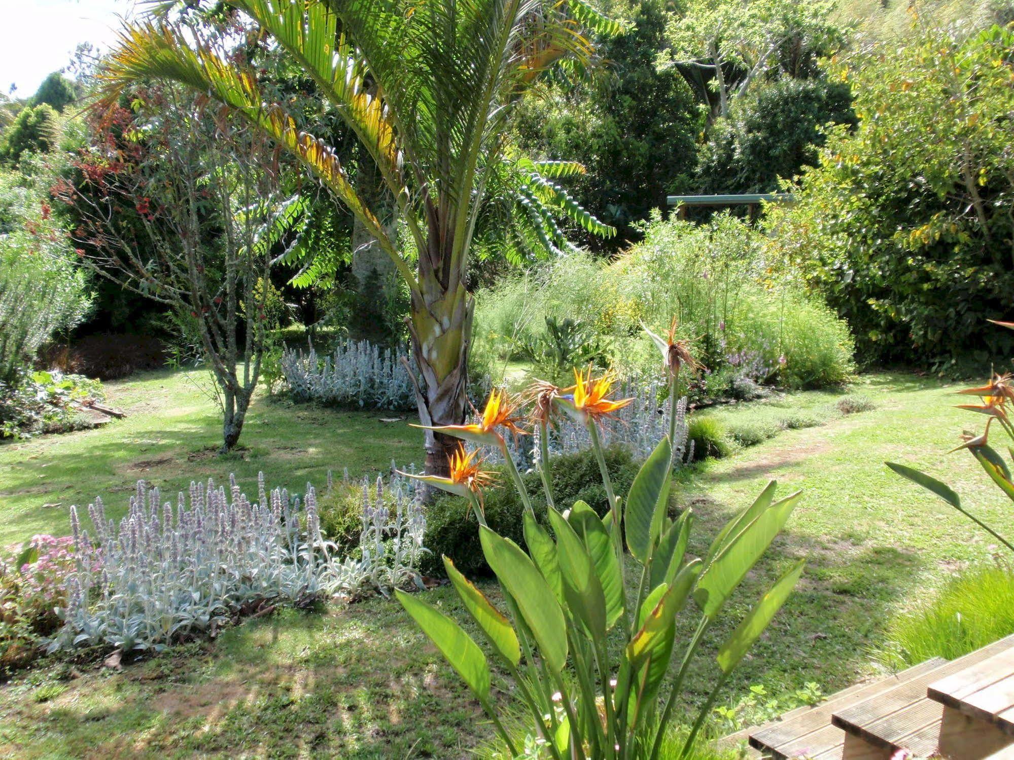 Wharepuke Subtropical Accommodation Kerikeri Dış mekan fotoğraf
