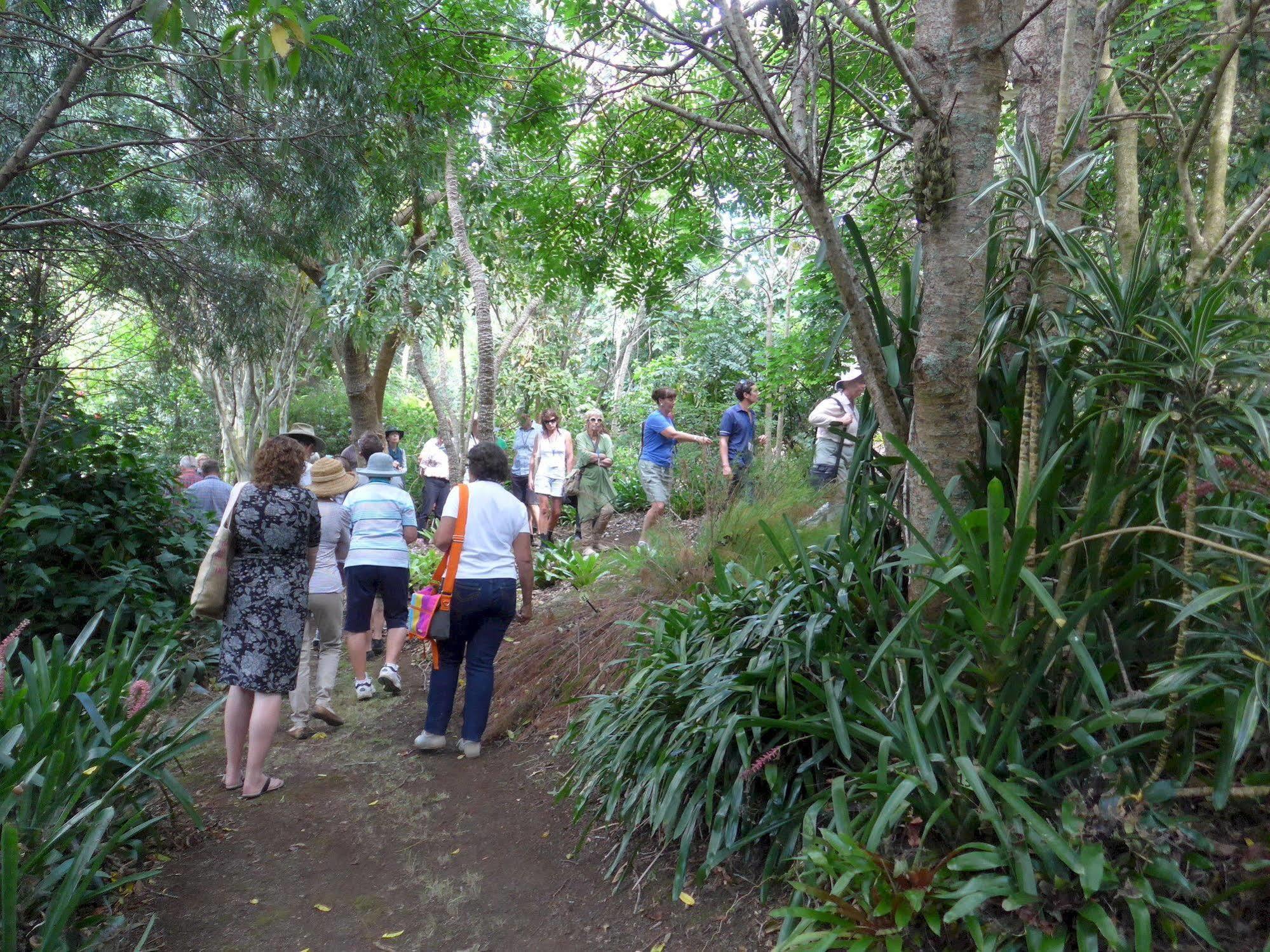 Wharepuke Subtropical Accommodation Kerikeri Dış mekan fotoğraf
