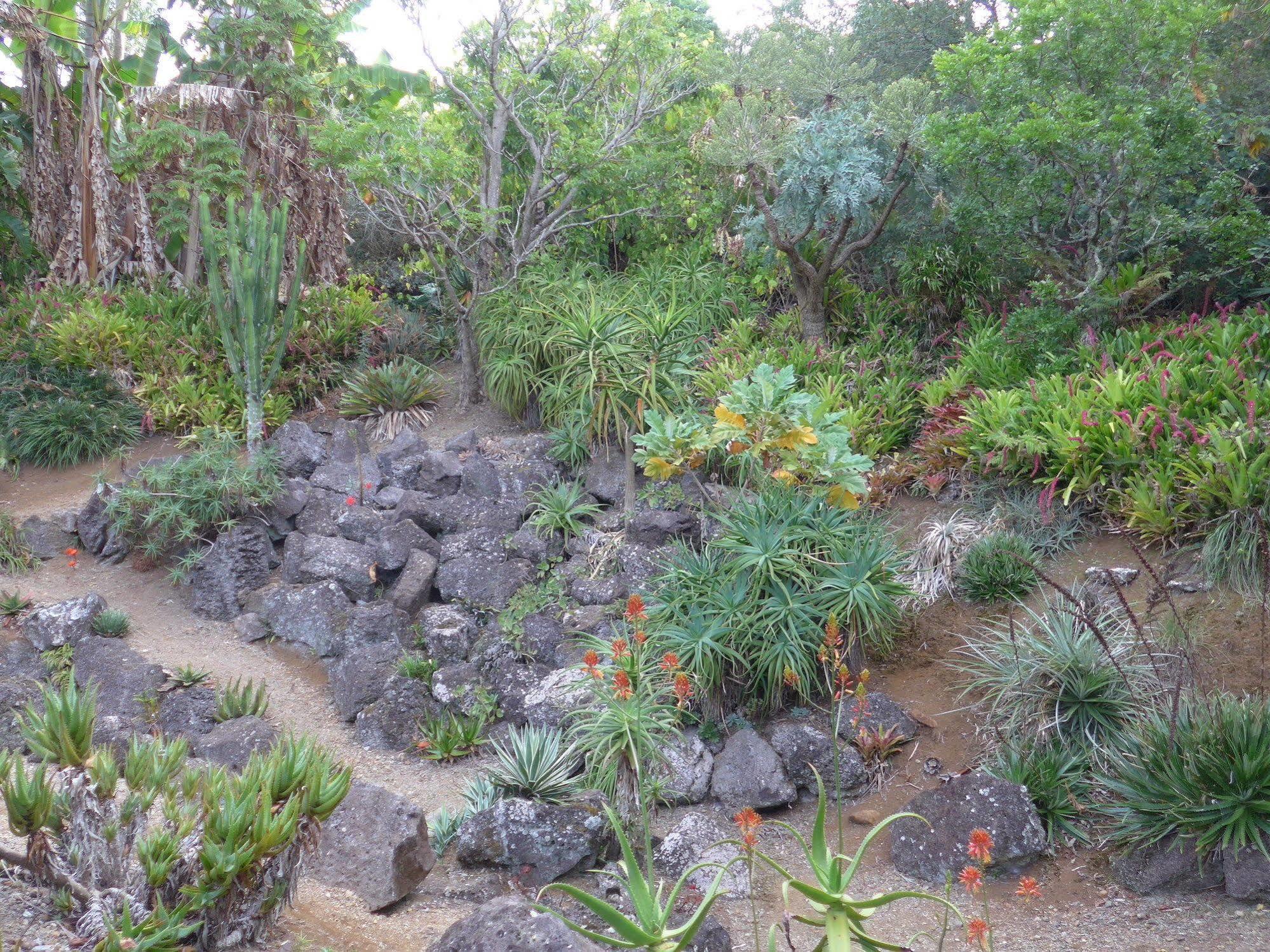 Wharepuke Subtropical Accommodation Kerikeri Dış mekan fotoğraf