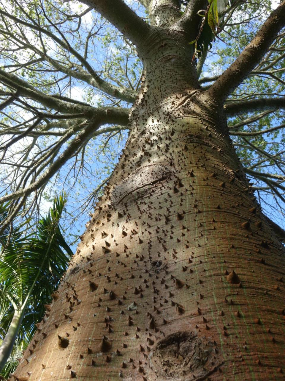 Wharepuke Subtropical Accommodation Kerikeri Dış mekan fotoğraf