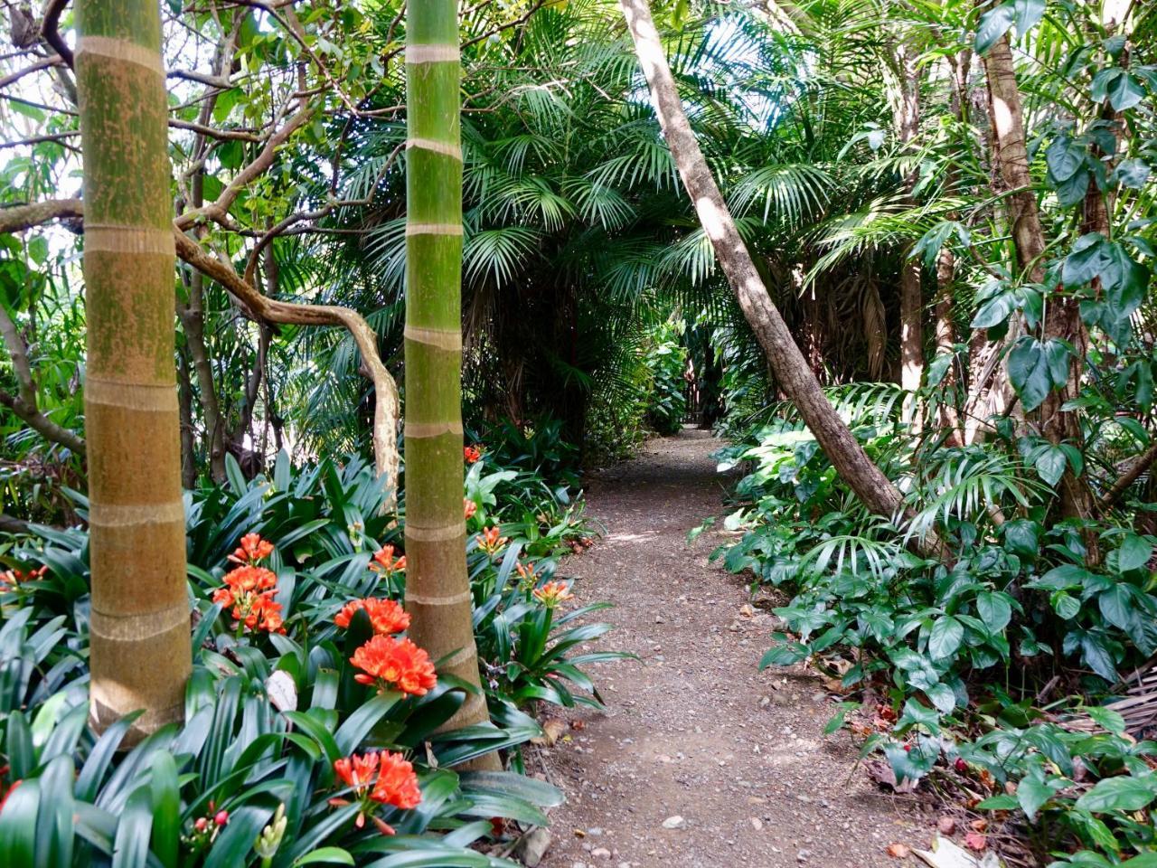 Wharepuke Subtropical Accommodation Kerikeri Dış mekan fotoğraf